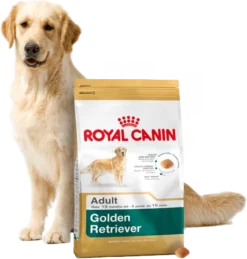 ROYAL CANIN Golden Retriever Adult 12kg + Surprise Pour Votre Chien GRATUITES ! 8 ROYAL CANIN Golden Retriever Adult 12kg + Surprise Pour Votre Chien GRATUITES ! -Zooart Elegant Boutique fre pl ROYAL CANIN Golden Retriever Adult 12kg surprise pour votre chien GRATUITES 17874 3