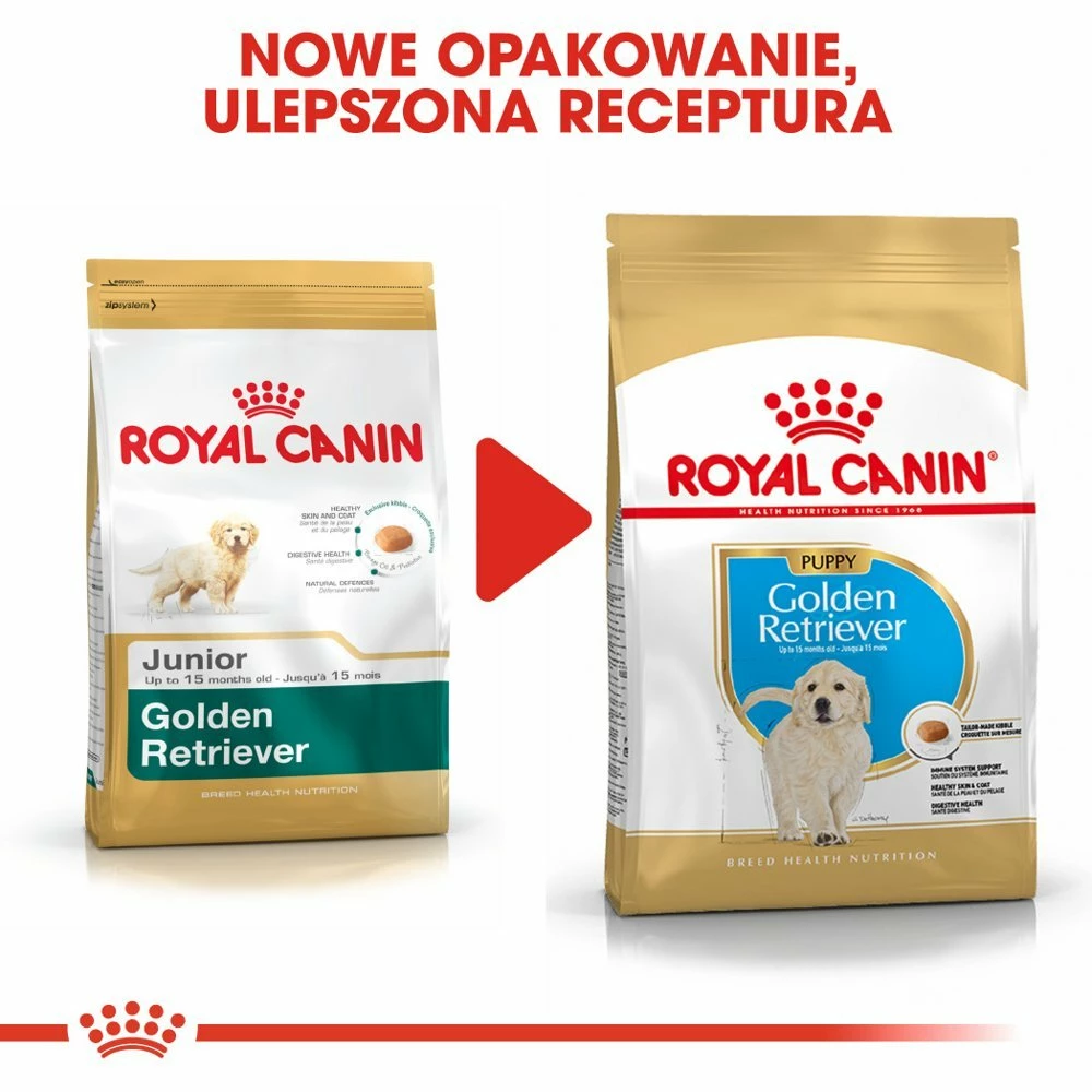 ROYAL CANIN Golden Retriever Puppy 12kg + Surprise Pour Votre Chien GRATUITES ! 3 ROYAL CANIN Golden Retriever Puppy 12kg + Surprise Pour Votre Chien GRATUITES ! – Image 3