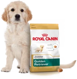 ROYAL CANIN Golden Retriever Puppy 12kg + Surprise Pour Votre Chien GRATUITES ! 9 ROYAL CANIN Golden Retriever Puppy 12kg + Surprise Pour Votre Chien GRATUITES ! -Zooart Elegant Boutique fre pl ROYAL CANIN Golden Retriever Puppy 12kg surprise pour votre chien GRATUITES 17884 4