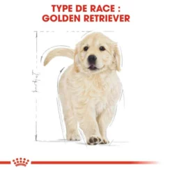 ROYAL CANIN Golden Retriever Puppy 3kg -Zooart Elegant Boutique fre pl ROYAL CANIN Golden Retriever Puppy 3kg 16020 6