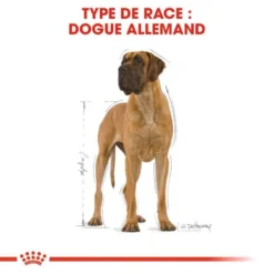 ROYAL CANIN Great Dane Adult 12kg 8 ROYAL CANIN Great Dane Adult 12kg -Zooart Elegant Boutique fre pl ROYAL CANIN Great Dane Adult 12kg 9213 3
