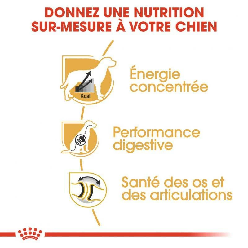 ROYAL CANIN Great Dane Adult 12kg 5 ROYAL CANIN Great Dane Adult 12kg – Image 5