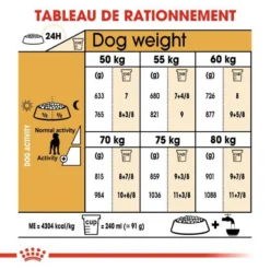 ROYAL CANIN Great Dane Adult 12kg 11 ROYAL CANIN Great Dane Adult 12kg -Zooart Elegant Boutique fre pl ROYAL CANIN Great Dane Adult 12kg 9213 6