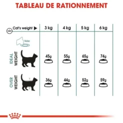 ROYAL CANIN Hairball Care 4kg 10 ROYAL CANIN Hairball Care 4kg -Zooart Elegant Boutique fre pl ROYAL CANIN Hairball Care 4kg 16037 6