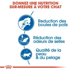 ROYAL CANIN Indoor Long Hair 4kg -Zooart Elegant Boutique fre pl ROYAL CANIN Indoor Long Hair 4kg 16852 5