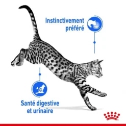ROYAL CANIN Indoor Sterilised Sauce 12x85g 9 ROYAL CANIN Indoor Sterilised Sauce 12x85g -Zooart Elegant Boutique fre pl ROYAL CANIN Indoor Sterilised Sauce 12x85g 12296 3