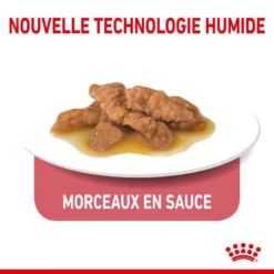 ROYAL CANIN Indoor Sterilised Sauce 12x85g 8 ROYAL CANIN Indoor Sterilised Sauce 12x85g -Zooart Elegant Boutique fre pl ROYAL CANIN Indoor Sterilised Sauce 12x85g 12296 4