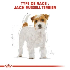 ROYAL CANIN Jack Russell Terrier Adult 1,5kg -Zooart Elegant Boutique fre pl ROYAL CANIN Jack Russell Terrier Adult 1 5kg 16916 6