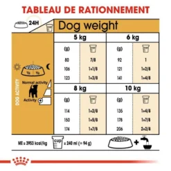 ROYAL CANIN Jack Russell Terrier Adult 500g 10 ROYAL CANIN Jack Russell Terrier Adult 500g -Zooart Elegant Boutique fre pl ROYAL CANIN Jack Russell Terrier Adult 500g 16917 4