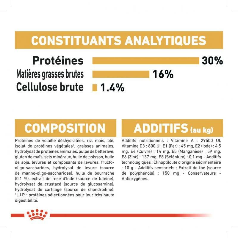 ROYAL CANIN Jack Russell Terrier Adult 500g 6 ROYAL CANIN Jack Russell Terrier Adult 500g – Image 6