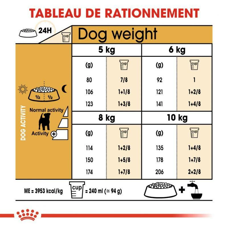 ROYAL CANIN Jack Russell Terrier Adult 500g X2 5 ROYAL CANIN Jack Russell Terrier Adult 500g X2 – Image 5