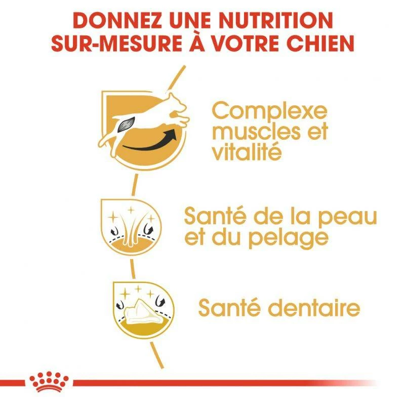 ROYAL CANIN Jack Russell Terrier Adult 7,5kg 3 ROYAL CANIN Jack Russell Terrier Adult 7,5kg – Image 3