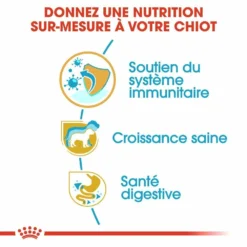 ROYAL CANIN Jack Russell Terrier Puppy 3kg -Zooart Elegant Boutique fre pl ROYAL CANIN Jack Russell Terrier Puppy 3kg 16918 1