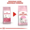 ROYAL CANIN Kitten 10kg X2