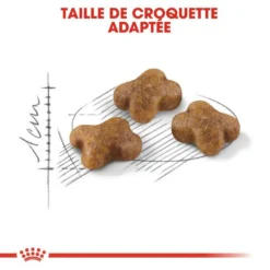 ROYAL CANIN Kitten 2kg 9 ROYAL CANIN Kitten 2kg -Zooart Elegant Boutique fre pl ROYAL CANIN Kitten 2kg 9250 6