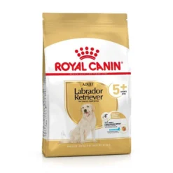 Meilleures ventes -Zooart Elegant Boutique fre pl ROYAL CANIN Labrador Retriever Adult 5 12kg 12525 2