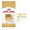 ROYAL CANIN Labrador Retriever Adult 5+ 3kg
