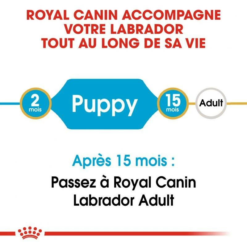 ROYAL CANIN Labrador Retriever Puppy 3kg 4 ROYAL CANIN Labrador Retriever Puppy 3kg – Image 4