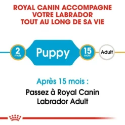 ROYAL CANIN Labrador Retriever Puppy 3kg X2 -Zooart Elegant Boutique fre pl ROYAL CANIN Labrador Retriever Puppy 3kg x2 30767 4