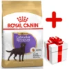 ROYAL CANIN Labrador Retriever Sterilised 12kg + Surprise Pour Votre Chien GRATUITES !