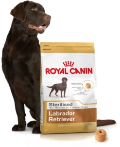 ROYAL CANIN Labrador Retriever Sterilised 12kg + Surprise Pour Votre Chien GRATUITES ! 9 ROYAL CANIN Labrador Retriever Sterilised 12kg + Surprise Pour Votre Chien GRATUITES ! -Zooart Elegant Boutique fre pl ROYAL CANIN Labrador Retriever Sterilised 12kg surprise pour votre chien GRATUITES 17875 4
