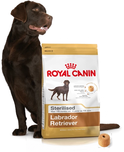 ROYAL CANIN Labrador Retriever Sterilised 12kg + Surprise Pour Votre Chien GRATUITES ! 4 ROYAL CANIN Labrador Retriever Sterilised 12kg + Surprise Pour Votre Chien GRATUITES ! – Image 4