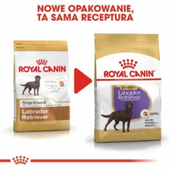ROYAL CANIN Labrador Retriever Sterilised 12kg + Surprise Pour Votre Chien GRATUITES ! 11 ROYAL CANIN Labrador Retriever Sterilised 12kg + Surprise Pour Votre Chien GRATUITES ! -Zooart Elegant Boutique fre pl ROYAL CANIN Labrador Retriever Sterilised 12kg surprise pour votre chien GRATUITES 17875 6