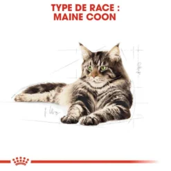 ROYAL CANIN Maine Coon Adult 2kg -Zooart Elegant Boutique fre pl ROYAL CANIN Maine Coon Adult 2kg 16069 3