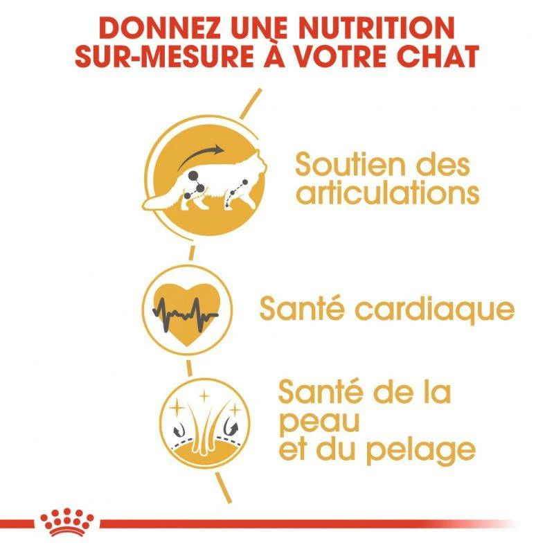 ROYAL CANIN Maine Coon Adult 2kg X2 2 ROYAL CANIN Maine Coon Adult 2kg X2 – Image 2