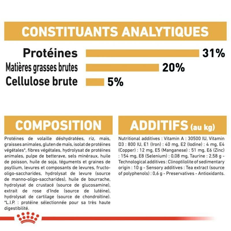 ROYAL CANIN Maine Coon Adult 2kg X2 6 ROYAL CANIN Maine Coon Adult 2kg X2 – Image 6