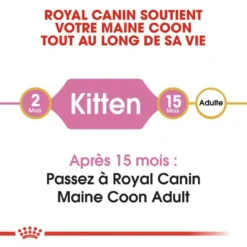 ROYAL CANIN Maine Coon Kitten 2kg -Zooart Elegant Boutique fre pl ROYAL CANIN Maine Coon Kitten 2kg 9612 2