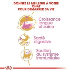 ROYAL CANIN Maine Coon Kitten 2kg -Zooart Elegant Boutique fre pl ROYAL CANIN Maine Coon Kitten 2kg 9612 3