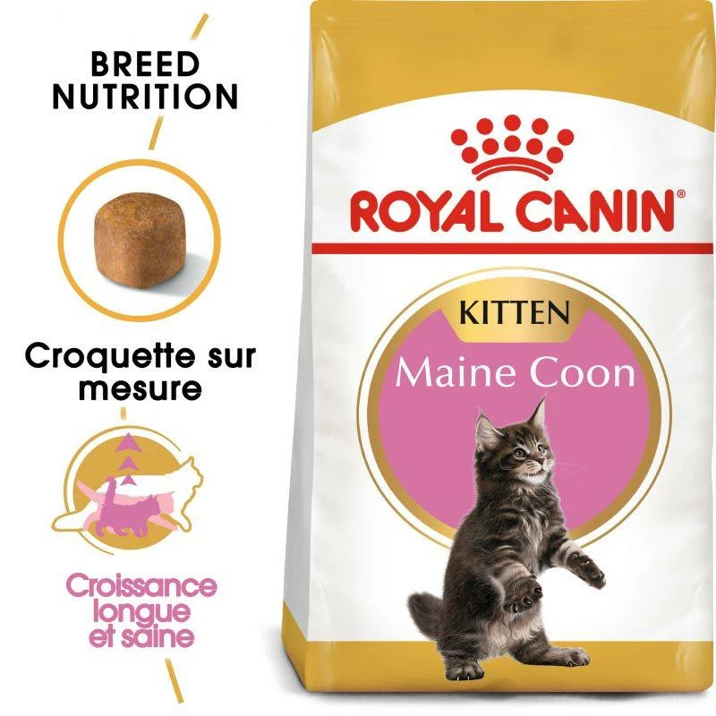 ROYAL CANIN Maine Coon Kitten 400g X2 2 ROYAL CANIN Maine Coon Kitten 400g X2 – Image 2