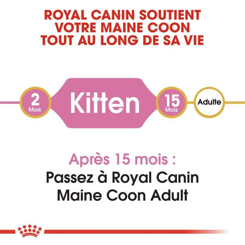 ROYAL CANIN Maine Coon Kitten 400g X2 3 ROYAL CANIN Maine Coon Kitten 400g X2 – Image 3
