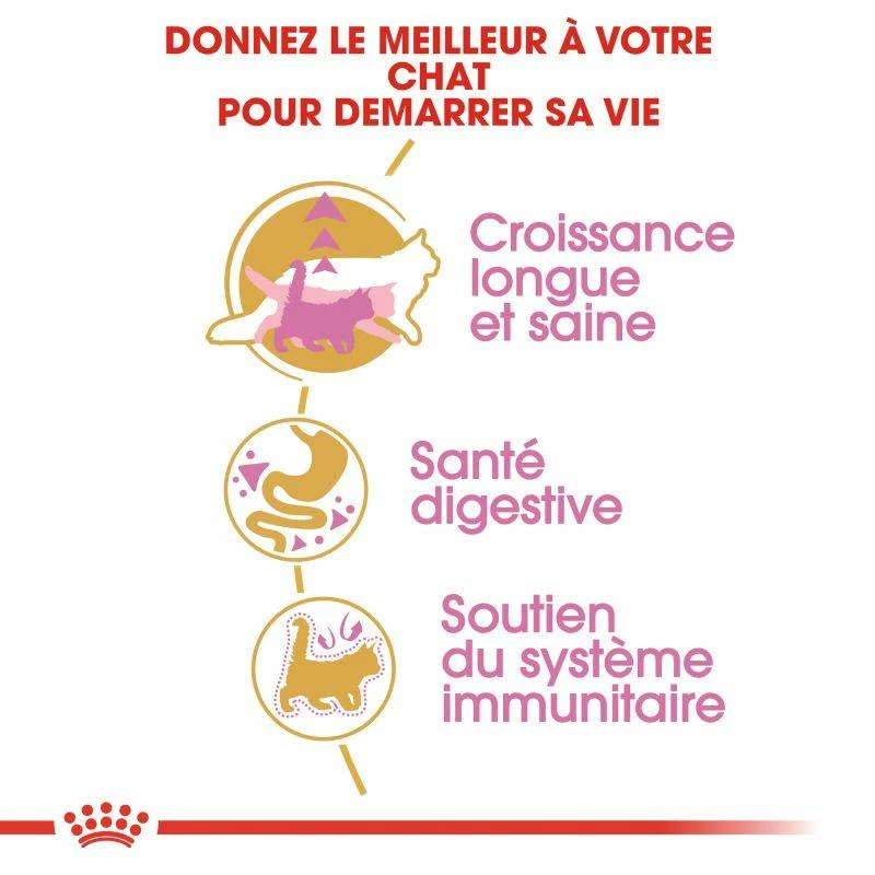 ROYAL CANIN Maine Coon Kitten 400g X2 4 ROYAL CANIN Maine Coon Kitten 400g X2 – Image 4