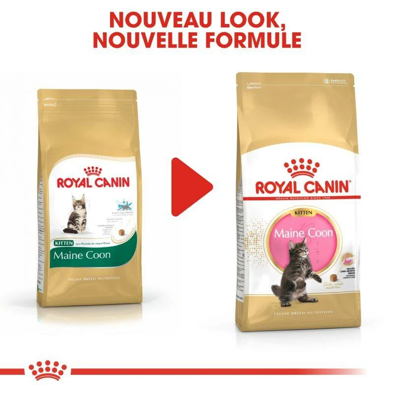 ROYAL CANIN Maine Coon Kitten 400g X2 1 ROYAL CANIN Maine Coon Kitten 400g X2