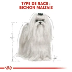 ROYAL CANIN Maltese Adult 1,5kg -Zooart Elegant Boutique fre pl ROYAL CANIN Maltese Adult 1 5kg 16967 5