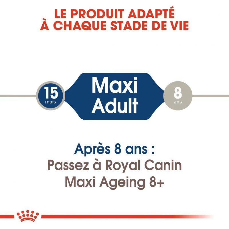 ROYAL CANIN Maxi Adult 10x140g 3 ROYAL CANIN Maxi Adult 10x140g – Image 3