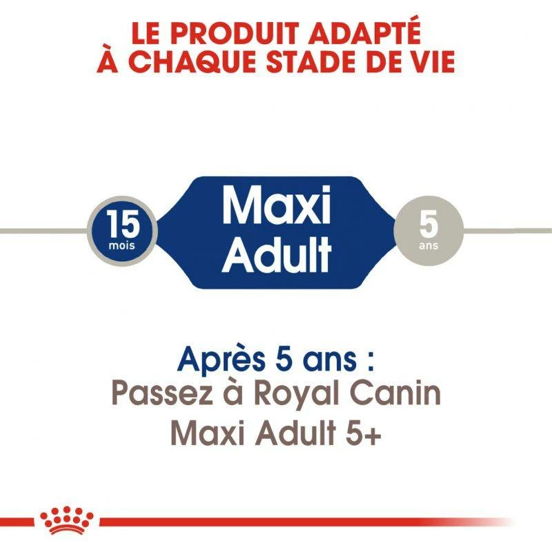 ROYAL CANIN Maxi Adult 15kg 2 ROYAL CANIN Maxi Adult 15kg – Image 2