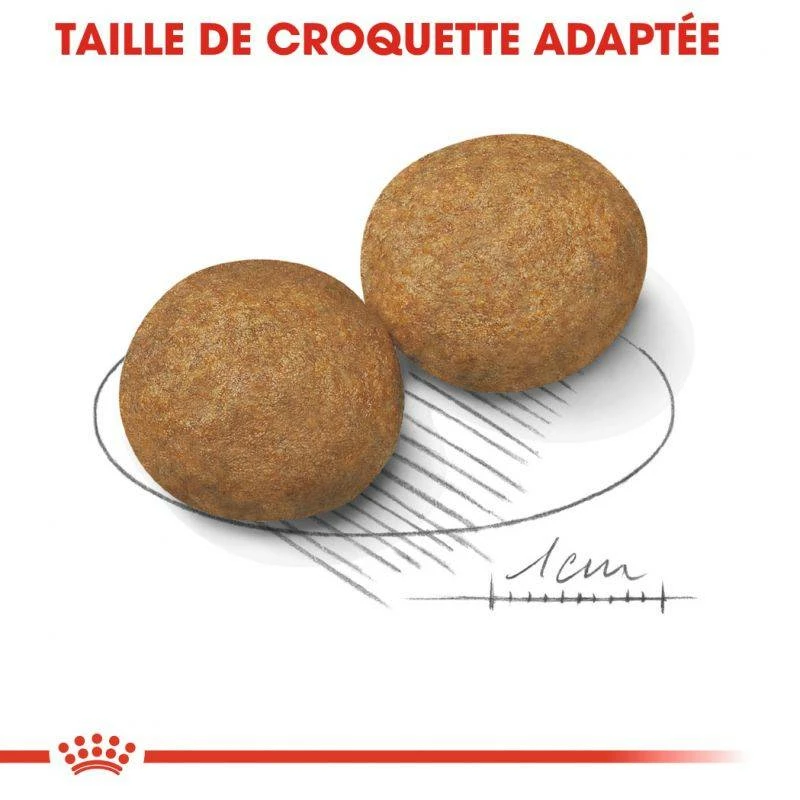 ROYAL CANIN Medium Adult 15kg + Surprise Gratuite Pour Votre Chien 3 ROYAL CANIN Medium Adult 15kg + Surprise Gratuite Pour Votre Chien – Image 3