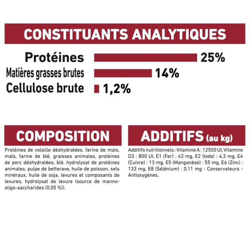 ROYAL CANIN Medium Adult 15kg + Surprise Gratuite Pour Votre Chien 5 ROYAL CANIN Medium Adult 15kg + Surprise Gratuite Pour Votre Chien – Image 5