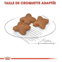 Meilleures ventes -Zooart Elegant Boutique fre pl ROYAL CANIN Mini Adult 2kg 16083 3