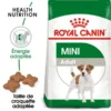 ROYAL CANIN Mini Adult 4kg