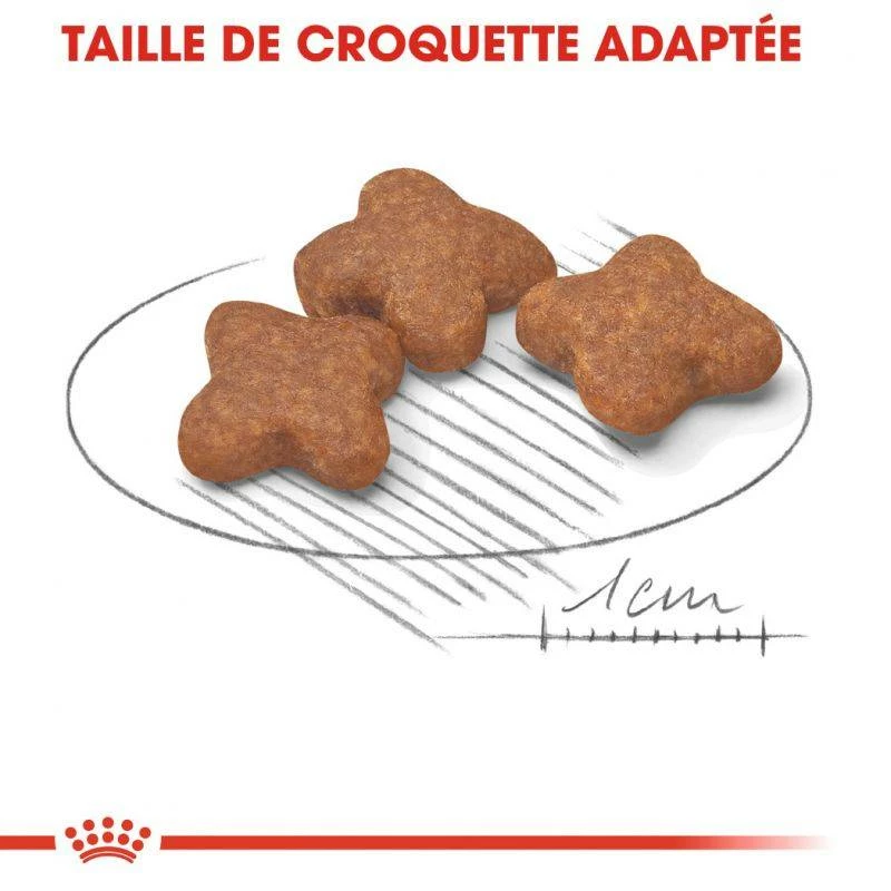 ROYAL CANIN Mini Adult 8+ 800g 3 ROYAL CANIN Mini Adult 8+ 800g – Image 3