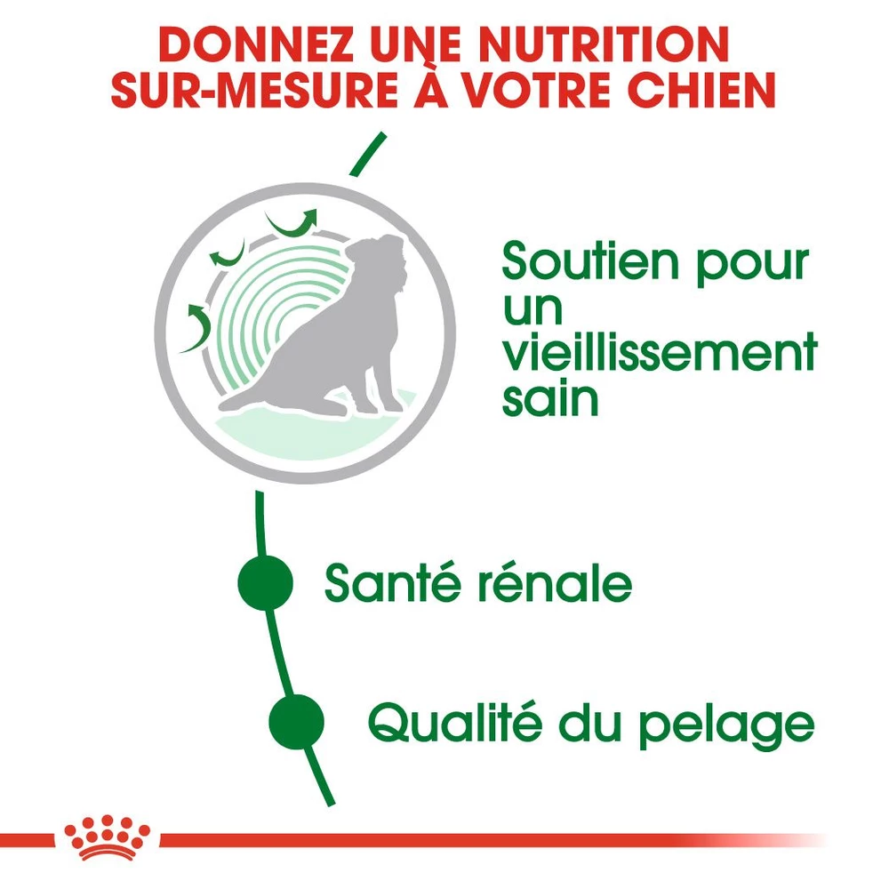 ROYAL CANIN Mini Ageing 12+ 3,5kg 2 ROYAL CANIN Mini Ageing 12+ 3,5kg – Image 2