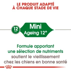 ROYAL CANIN Mini Ageing 12+ 3,5kg 9 ROYAL CANIN Mini Ageing 12+ 3,5kg -Zooart Elegant Boutique fre pl ROYAL CANIN Mini Ageing 12 3 5kg 16087 6