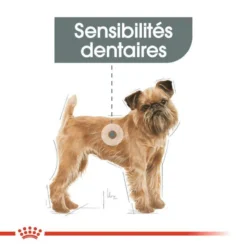 ROYAL CANIN Mini Dental Care 1kg 11 ROYAL CANIN Mini Dental Care 1kg -Zooart Elegant Boutique fre pl ROYAL CANIN Mini Dental Care 1kg 10080 7