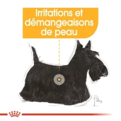 ROYAL CANIN Mini Dermacomfort 8kg -Zooart Elegant Boutique fre pl ROYAL CANIN Mini Dermacomfort 8kg 10081 5