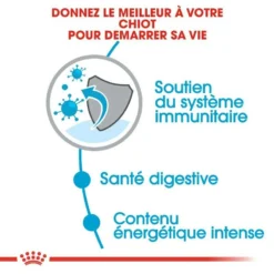 Meilleures ventes -Zooart Elegant Boutique fre pl ROYAL CANIN Mini Puppy 8kg 16146 2