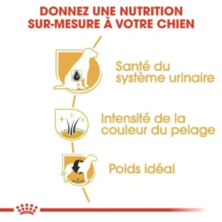 ROYAL CANIN Miniature Schnauzer Adult 3kg 9 ROYAL CANIN Miniature Schnauzer Adult 3kg -Zooart Elegant Boutique fre pl ROYAL CANIN Miniature Schnauzer Adult 3kg 9366 3